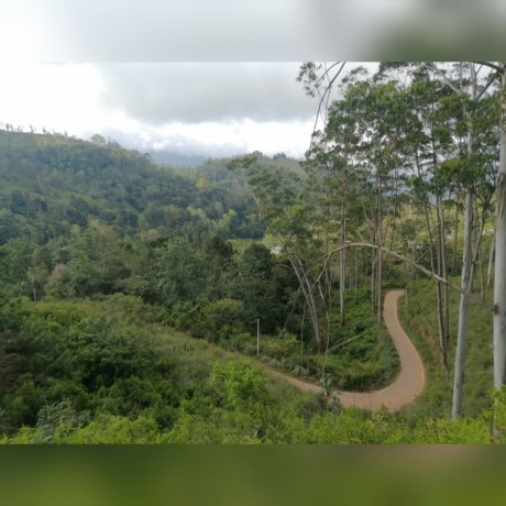 Land for Sale in Badulla