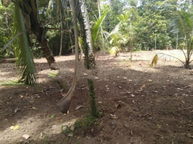 Land for Sale in Katana Kondagammulla.