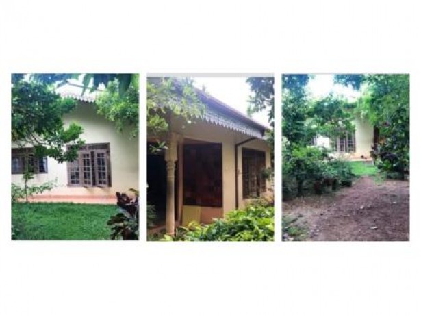 House sale in Ambalngoda
