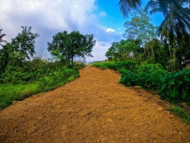 Land for sale in Palm Garden Ratnapura