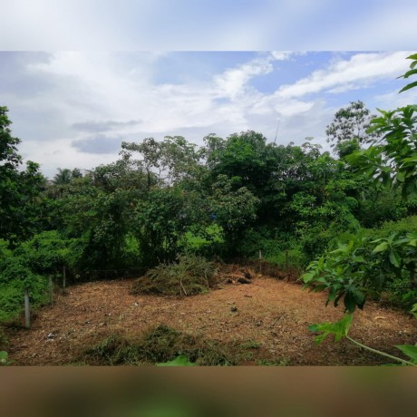 Land for Sale Kottawa Town (Paddy Field View)