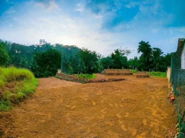 Land for sale in Palm Garden Ratnapura