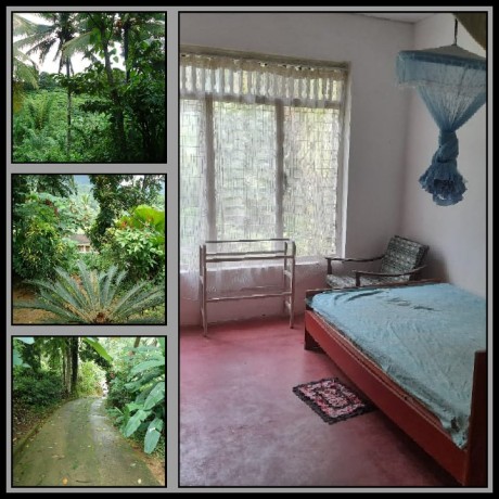 A Valuable House with Land for Sale in Ratnapura