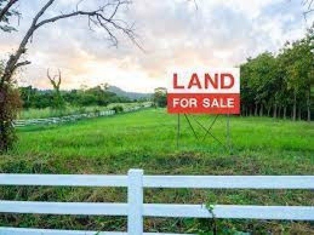 Land for sale kurunagala