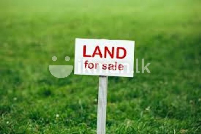 Land for Sale in  Kandana