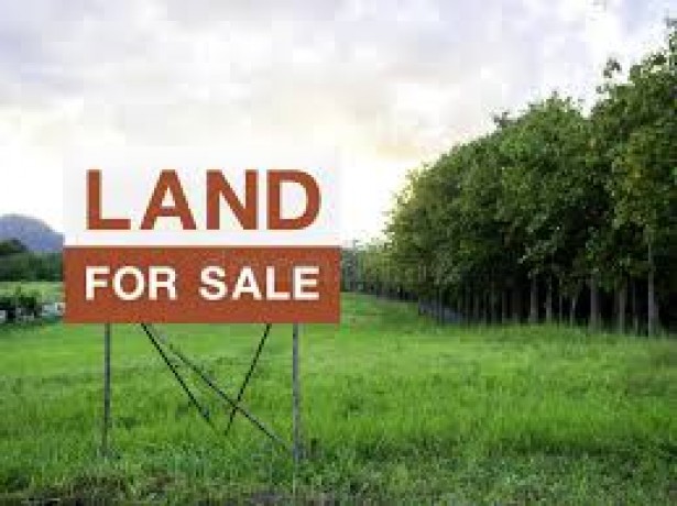 Land For Sale In Ruwanwalla