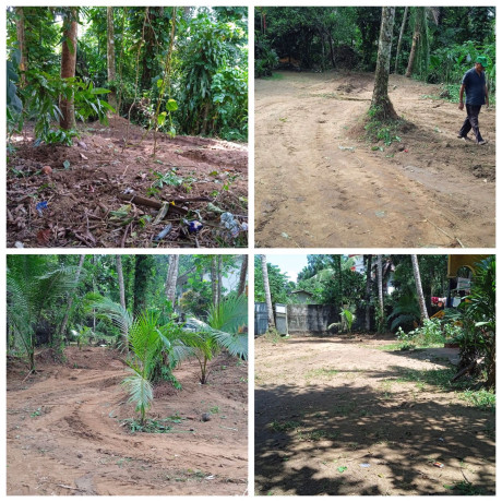 LAND FOR SALE IN KOSGAMA