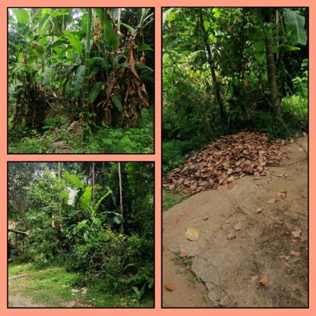 Land For Sale in  Ambatenna
