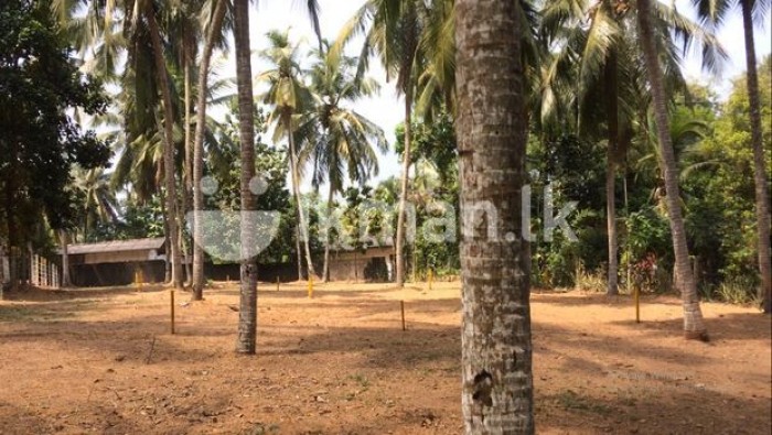 Land for Sale in Kadawatha