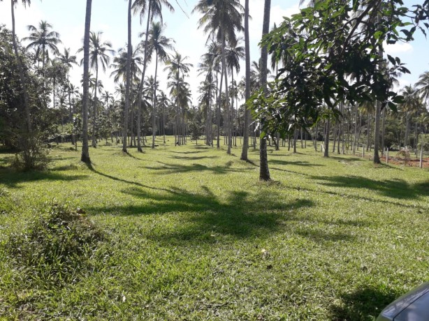 Land For Sale In Waradala