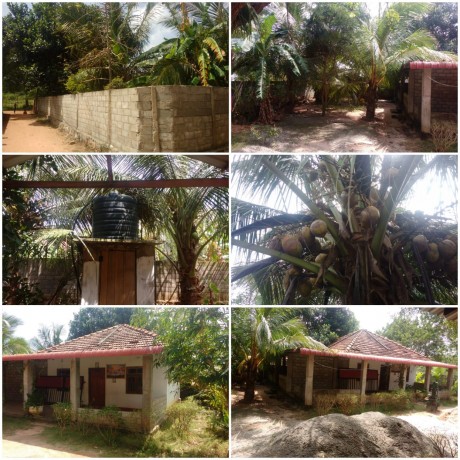 House for sale in Mullaitivu