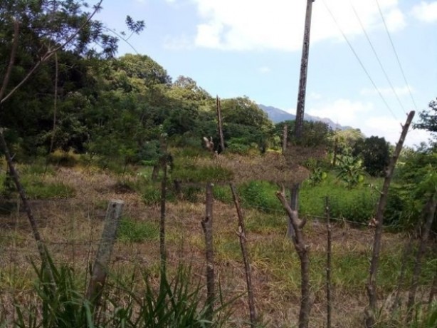 Land For Sale In Matale