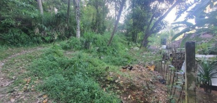 Land for Sale in Lewla