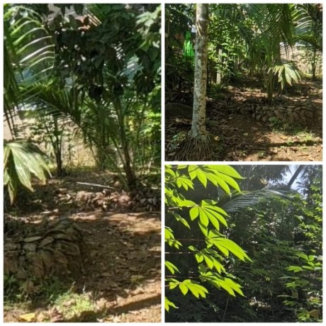Land For Sale In Kosgama