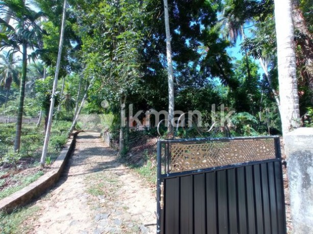 Complete House with Land for Sale in Ruwanwella