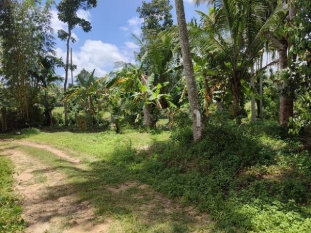 Land for Sale in  Homagama