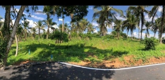 Land for sale near NSBM Green University Homagama Talagala