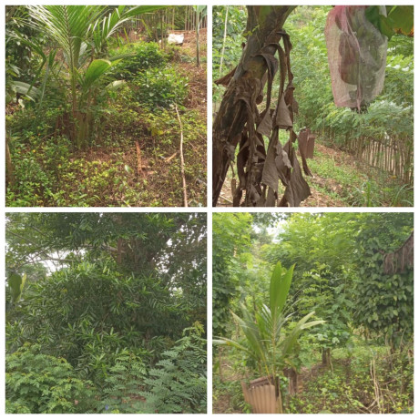 LAND FOR SALE IN WATHTHEGAMA
