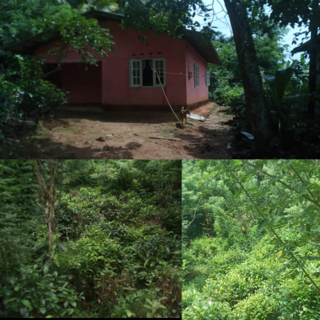 Land For Sale In matugama