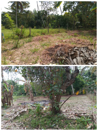 LAND FOR SALE IN NEGOMBO