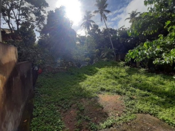 Land For Sale in Ragama