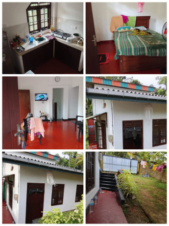 Land For Sale in Maggona