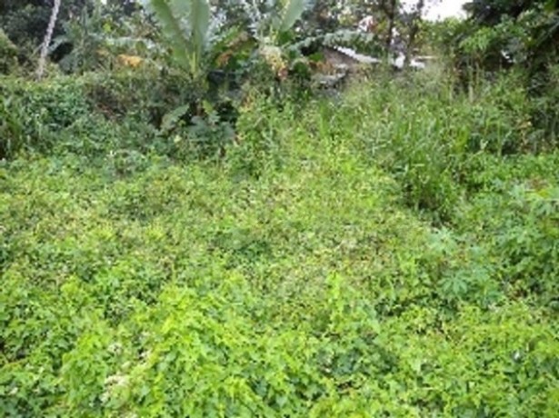 7 perches bare land for sale in Malabe Thalahena
