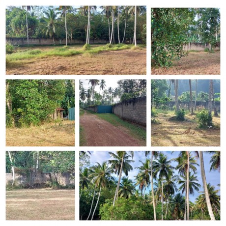 Land for Sale in  divulapitiya