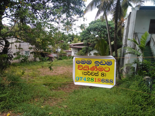 Land For Sale in Panni Pitiya , Morakethiya