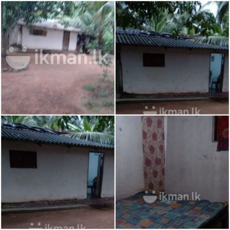 Land with House for Sale In Veyangoda