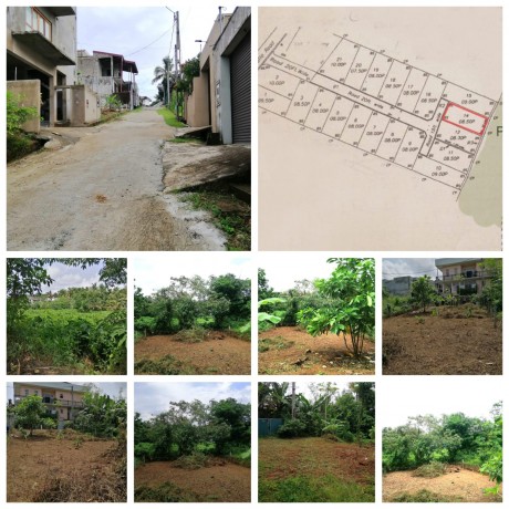 Land for Sale Kottawa Town (Paddy Field View)