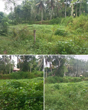 Land For Sale In Homagama