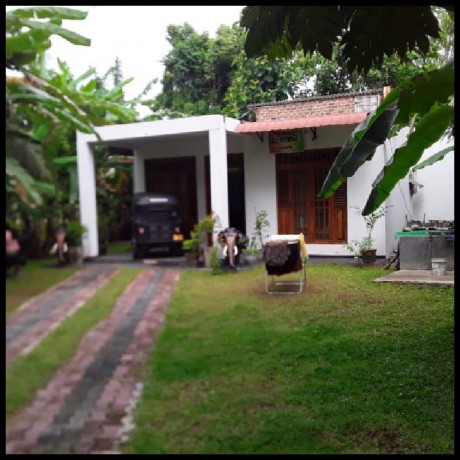 House With Land For Sale In Thalgodapitiya Kurunegala