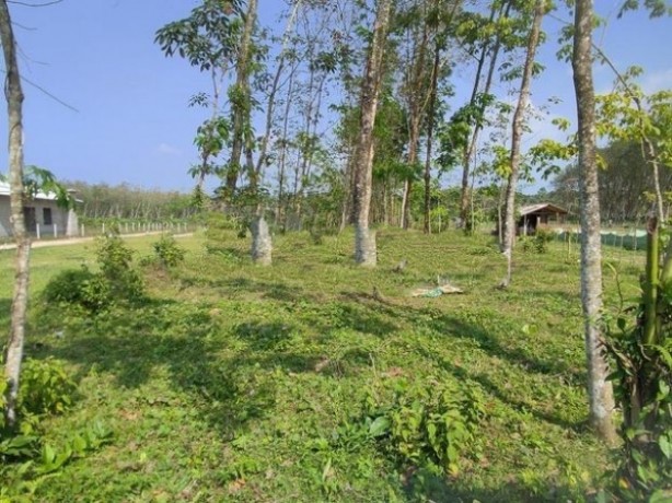 Land for sale near Hanwella