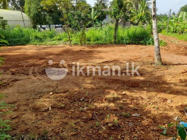 land for sale in Kesbewa