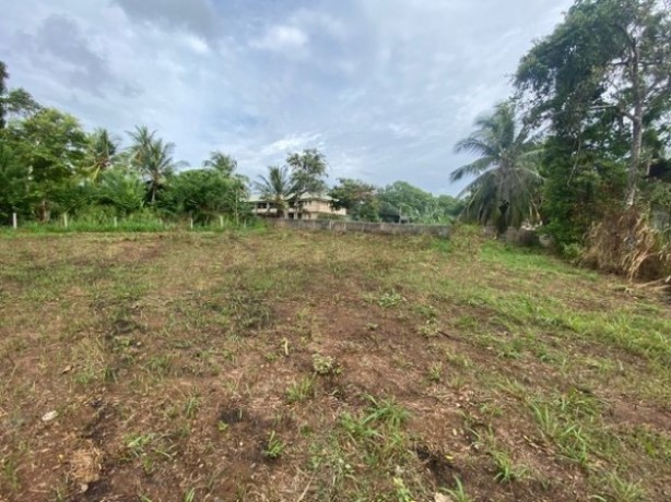 Land for sale in Embilipitiya