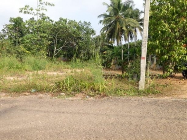 Land for Sale in Thalagala, Homagama