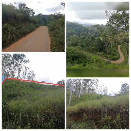 Land for Sale in Badulla