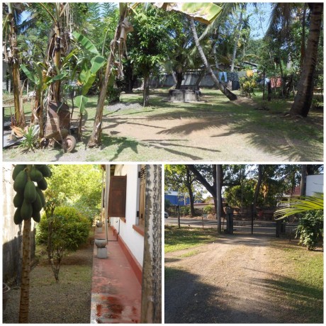 Land with House for Sale in Mallawapitiya Kurunegala