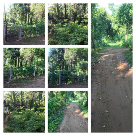 Residential Land for Sale Matale