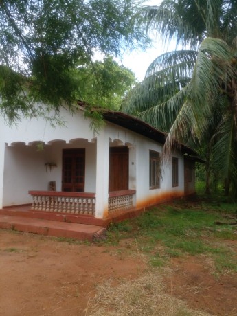 House For Sale In  - Anuradhapura