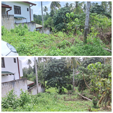 LAND FOR SALE IN PILIYANDALA