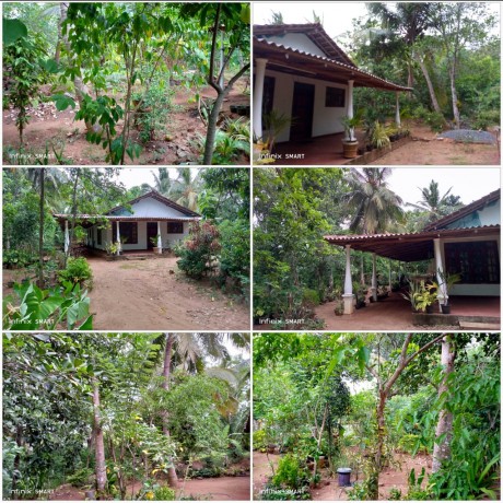 House With Land For Sale Weerawila
