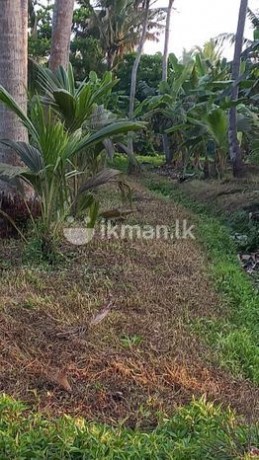 Beach Front and Land Side Lands Wattala